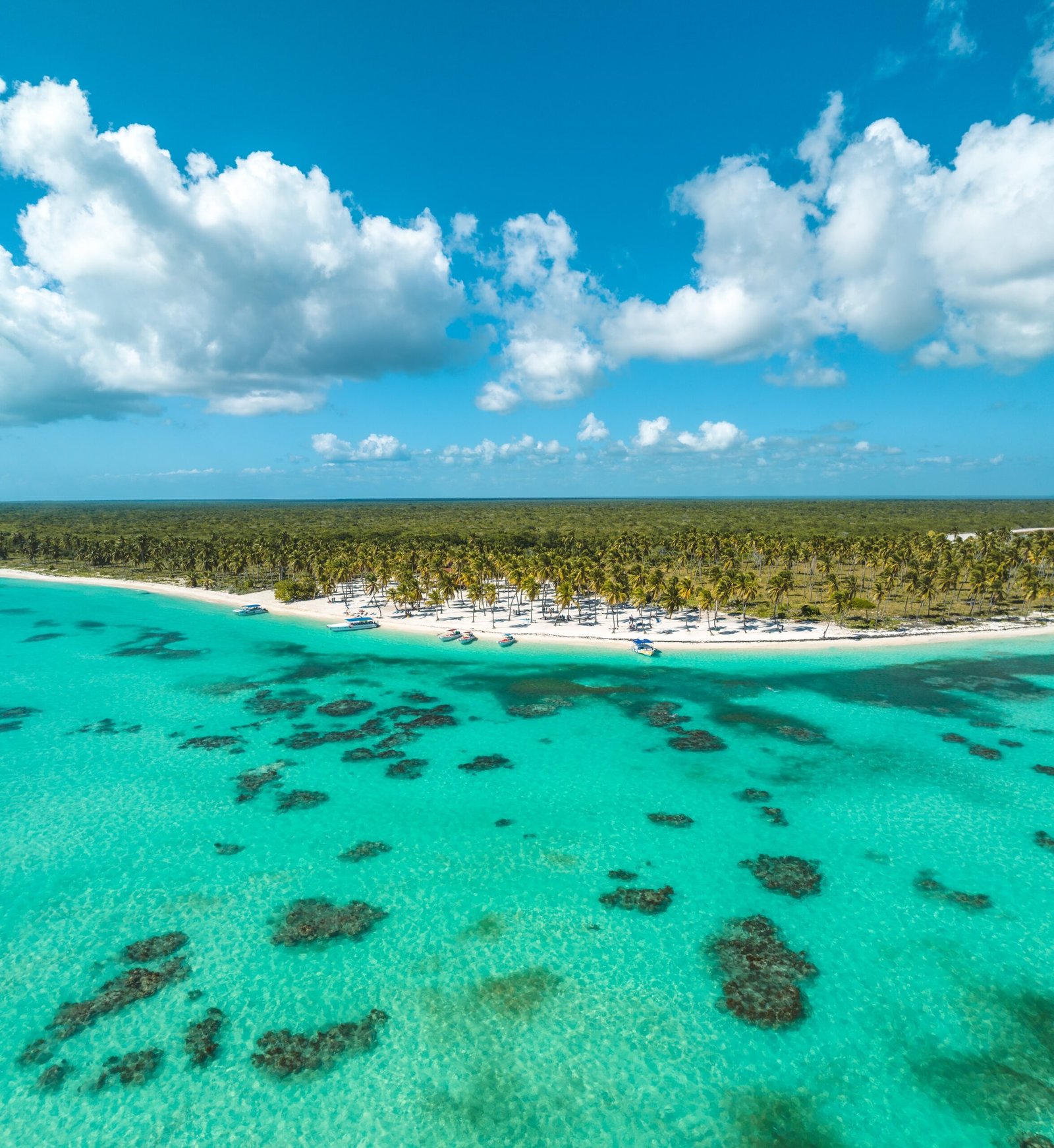 Isla Saona Todo Incluido