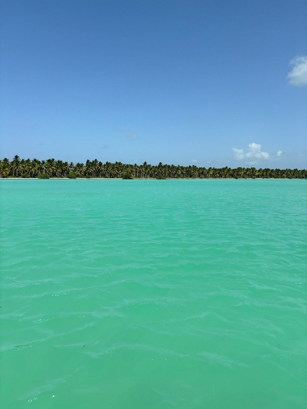 Isla Saona Todo Incluido