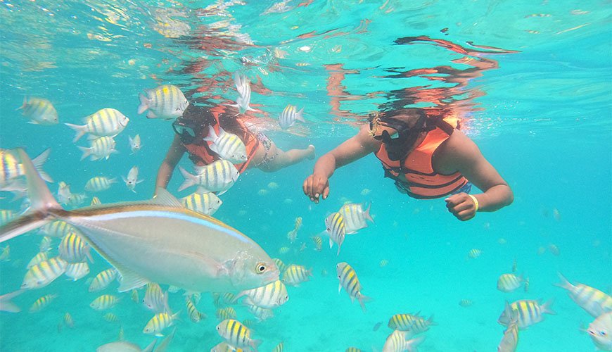 Punta Cana Speedboat Adventure